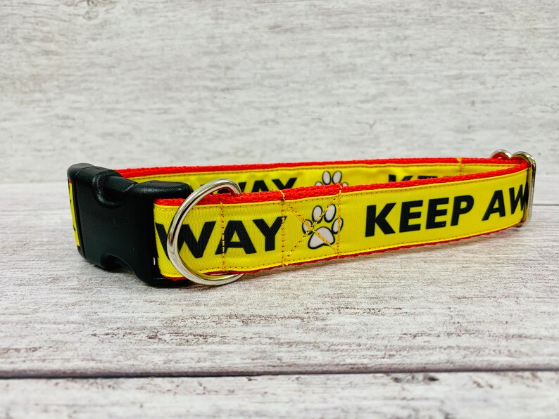 Reactive Dog Collar Alert Collars Keep Away ANXIOUS Etsy