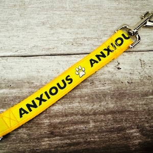 Anxious Dog Lead: Alert Leash Add-on