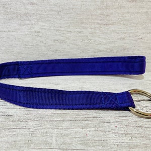 Puede incluir: Una correa de nailon azul con un anillo de metal plateado.