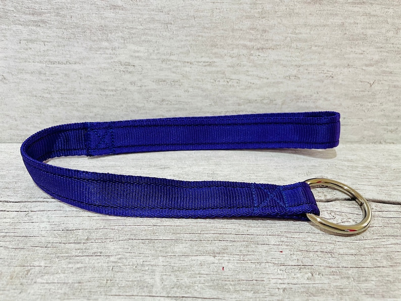 Puede incluir: Una correa de nailon azul con un anillo de metal plateado.