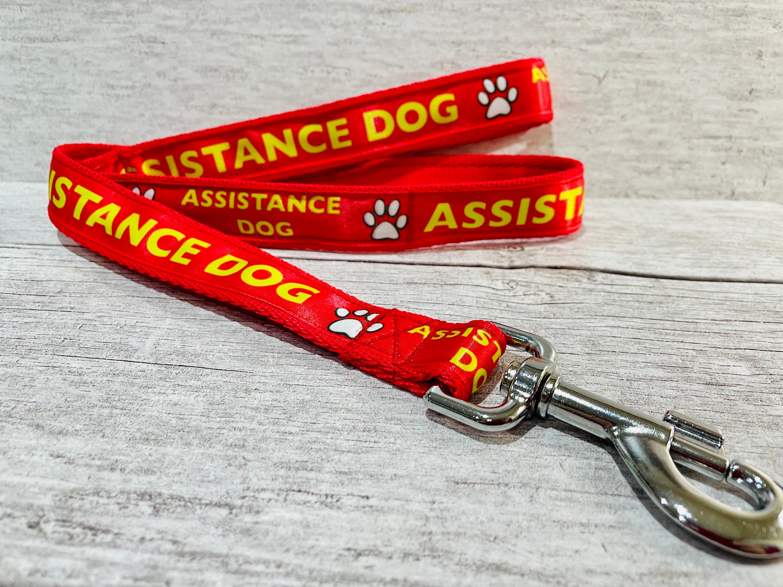 support dog leash