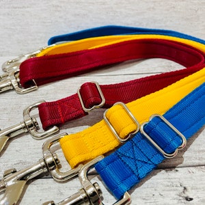 Puede incluir: Tres correas para perros en azul, amarillo y burdeos con cierres plateados.