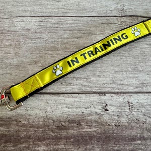 In Training Short Dog Lead - Alert Leash, Puppy Learning - Any Colour, Padded Handmade UK