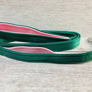 May include: A green and pink dog leash with a silver clip. The leash is made of a durable, woven material.