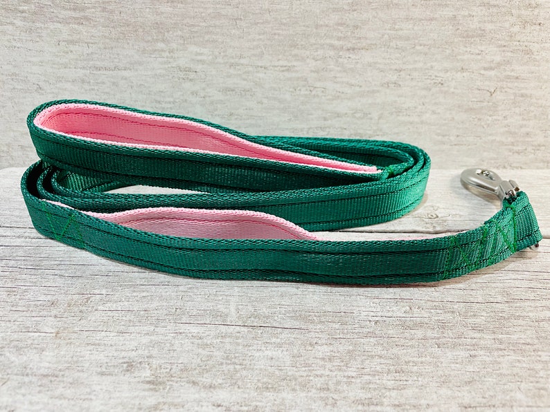May include: A green and pink dog leash with a silver clip. The leash is made of a durable, woven material.