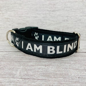 I AM BLIND Dog Collar: Black Ribbon, Puppy to Large Dog