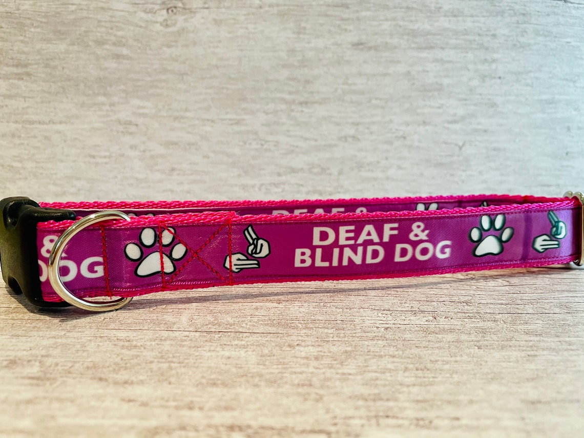 DEAF and BLIND DOG Ribbon Puppy Small Large Dog Collar Etsy