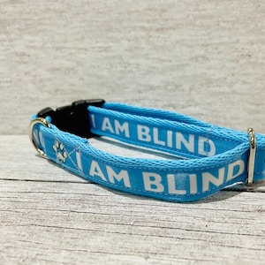 Blind dog bumper collar uk 2025