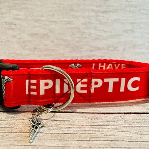 May include: Red dog collar with white text that reads "I have epileptic" and a silver medical symbol charm. The collar has a black buckle and a silver D-ring.
