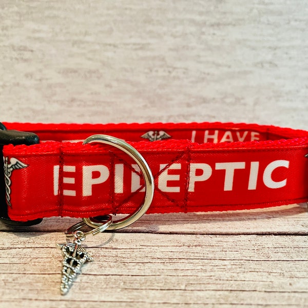 Epileptic - Diabetic - Medical Alert - Seizures - Ribbon Puppy Small Large Dog Collar - Small Dog Collar - All Sizes