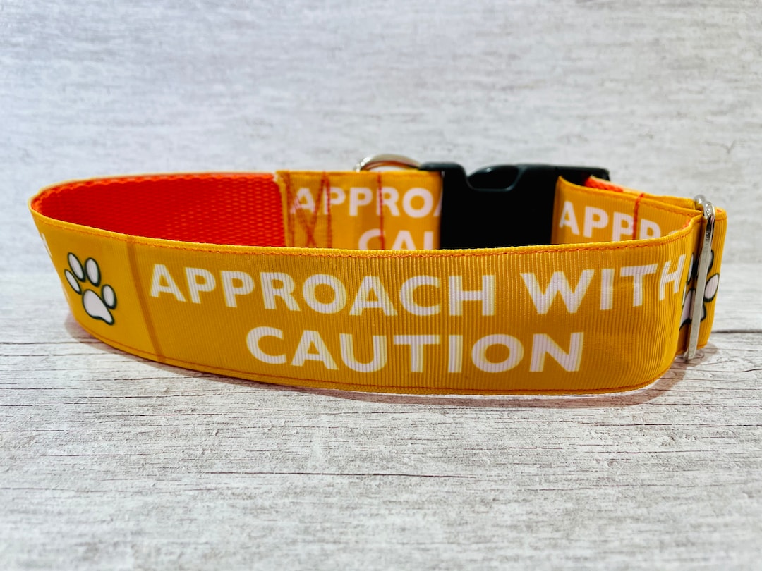Approach With Caution reactive Dog Collar Alert Collars keep Away do