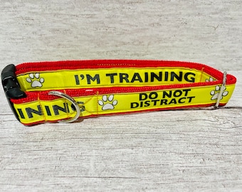 I'm Training - Do Not Distract Dog Collar Alert Collars **Keep Away** **Do Not Touch Me** Alert * * Do Not Pet - Support - Service