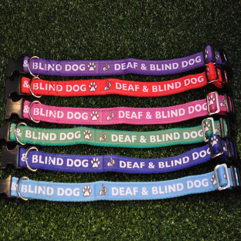 DEAF and BLIND DOG Ribbon Puppy Small Large Dog Collar Etsy