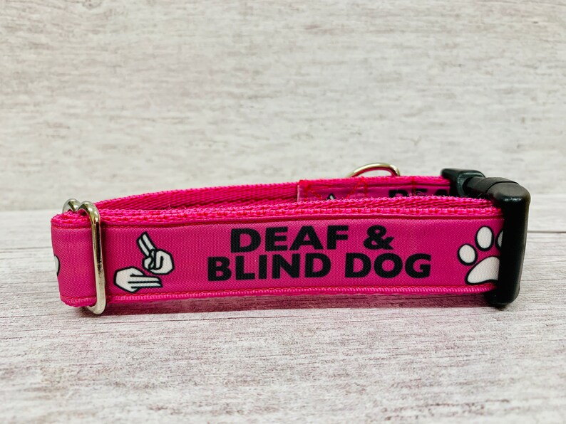 DEAF and BLIND DOG Ribbon Puppy Small Large Dog Collar Etsy