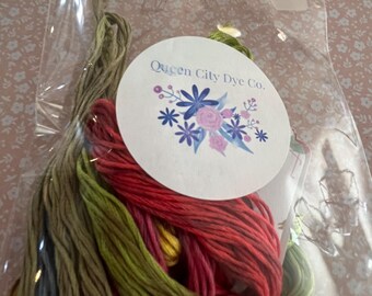 6 Skeins of Queen City Dye Company Overdyed Floss in Spring Colors #040301