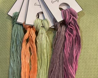 5  Skeins of Queen City Dye Company Overdyed Floss #05102602