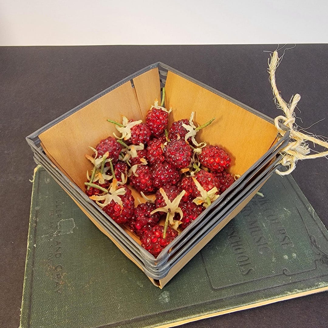 Primitive Raspberry Vintage 1950s, Pint Size Basswood Berry Baskets, Set of 4 W/faux ...