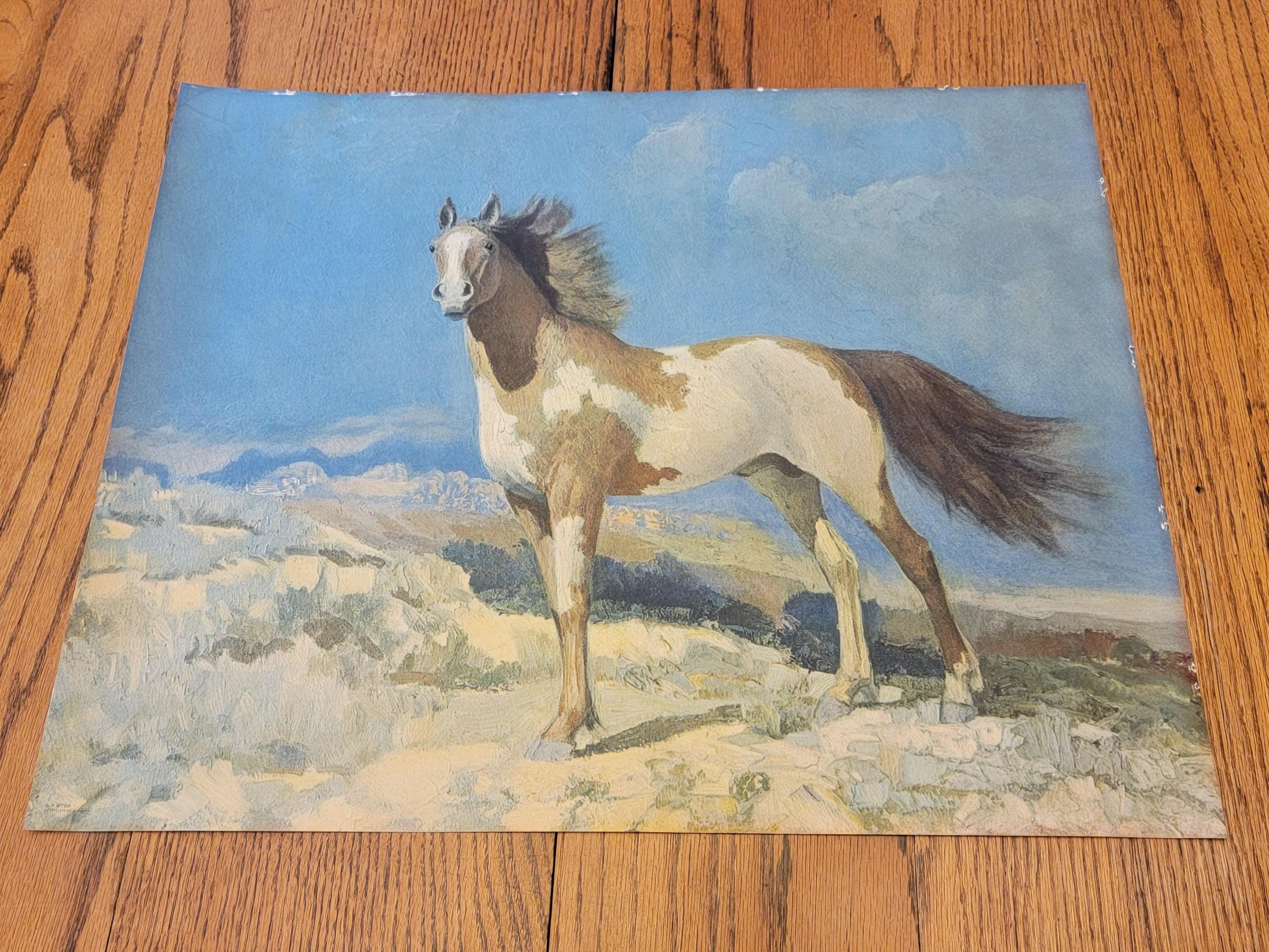 Lithographed Usa - Etsy