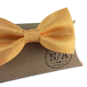 Orange bow tie, pumpkin orange bow tie, pretied, adjustable
