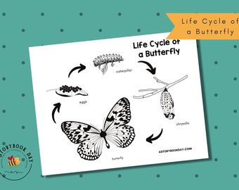 PDF: Life Cycle of a Butterfly Print | Homeschool | Educational Life Cycle Printable