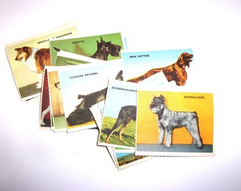 Vintage dog gummed pictures: pack of 22 stickers. Ephemera for scrapbooks, journals, collage. OT985