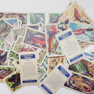 Brooke Bond Tea Cards - Etsy