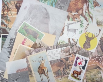 Vintage deer paper craft pack: 25 pieces including book clippings, pictures, cards. Craft kit for scrapbook, journaling, collage EP289B