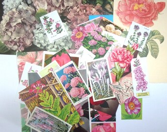 Vintage pink flower paper ephemera: pack of 30 mixed pieces. Craft paper for scrapbooks, journals, card making EP418B