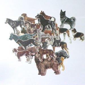 Découpes vintage pour chiens : lot de 30 décorations de style découpées représentant des chiens découpés dans des livres. Ephemera pour scrapbooking, smash book, journal PE852