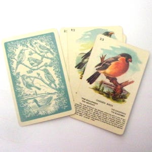 5 cartes oiseaux vintage tirées d'un jeu pour enfants. Ephémères pour créations manuelles, scrapbooking, oeuvres d'art modifiées. Chardonneret jaune, bouvreuil, loriot, huppe fasciée, rouleau OT138A