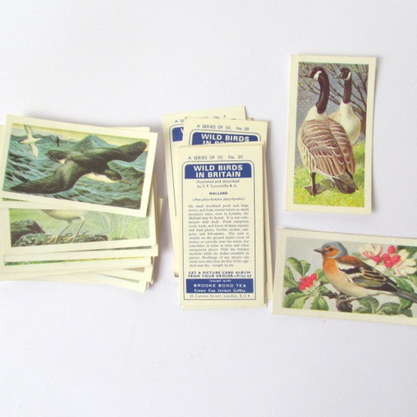 Wild Birds in Britain Brooke Bond Tea cards: pack of 20 from 1965. Collector cards or for use in craft, scrapbook, journals, collage. OT388