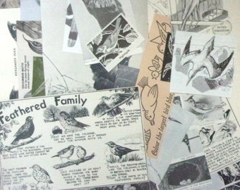 Bird vintage paper craft pack: 50 black and white paper pieces, die cut style. Ephemera for scrapbooks, collage, smash books. EP452B
