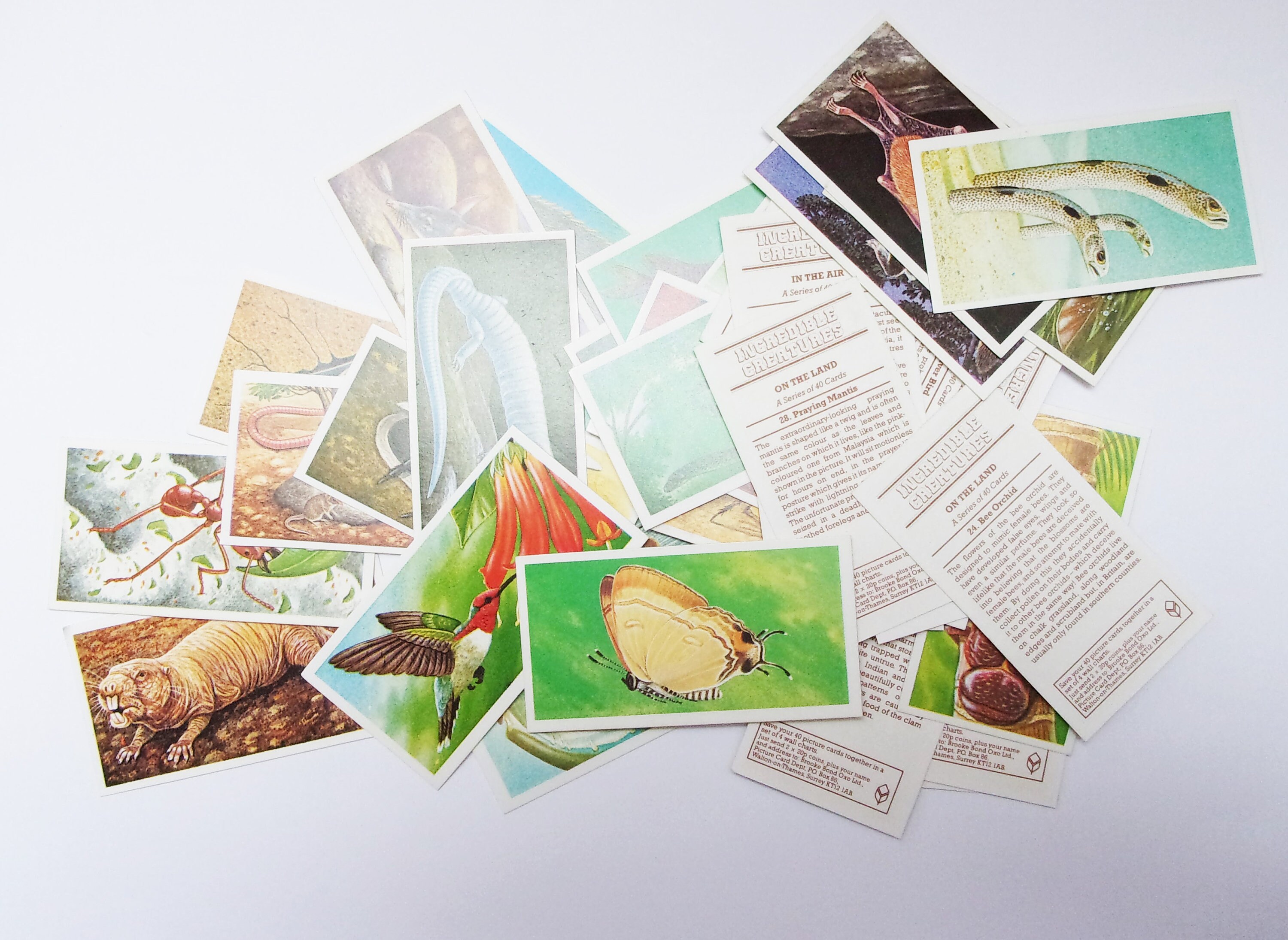 Incredible Creatures Brooke Bond Tea Cards: Complete Set of - Etsy