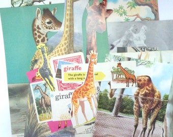 Giraffe themed paper ephemera: pack of 27 vintage pieces. Die cuts and pictures for scrapbooks, journals, smash books EP430B