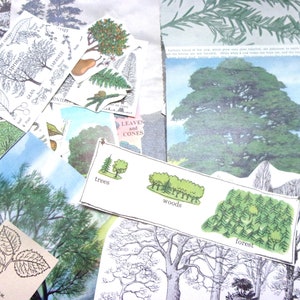 Trees vintage paper craft pack: 40 paper pieces, die cuts. Ephemera for scrapbooks, collage, decoupage, journaling. EP357B