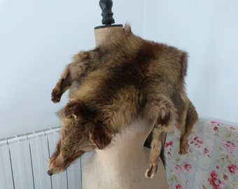 Antique French real red fox fur full body pelt wrap stole collar scarf shawl wrap w tail paws for scary spooky steampunk or viking look