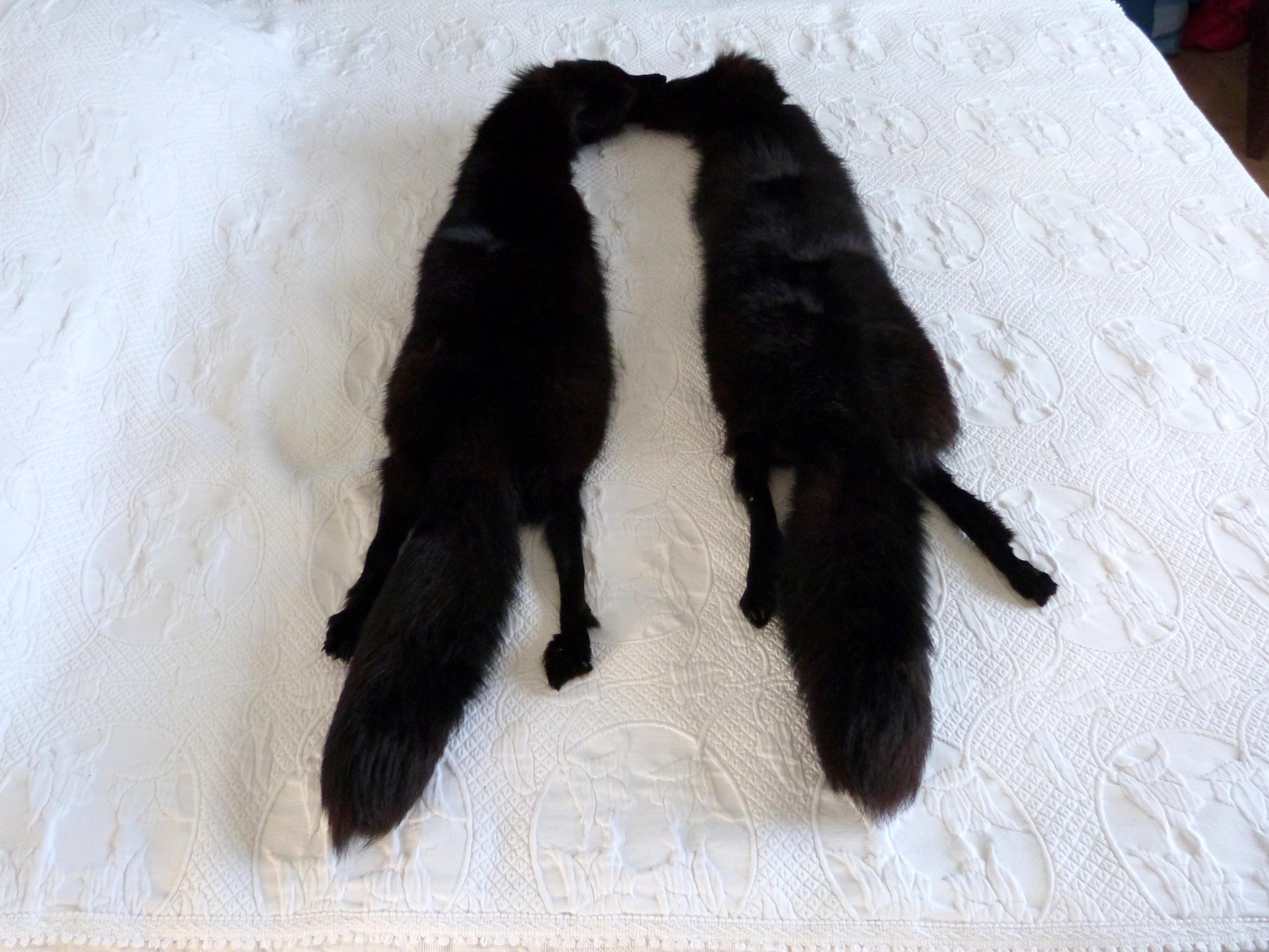 Antique Black Fox Fur Full Pelt Wrap Stole Collar Scarf Shawl Wrap