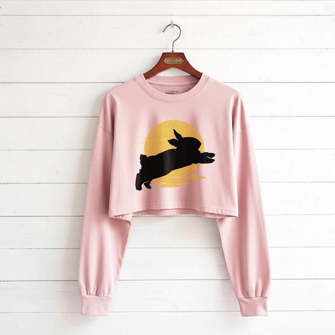 Rabbit Jumping Over the Moon Graphic Funny Tees Cropped Long Sleeve ...