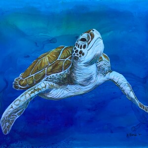 Turtle Painting, Acrylic paint on Clayboard Panel 9x12 inches, 3/4 inch deep