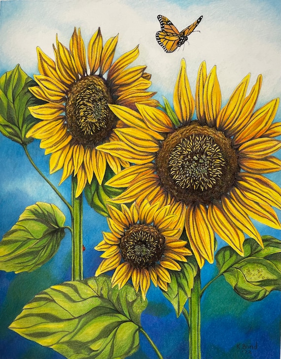 Sunflower pencil deals drawing