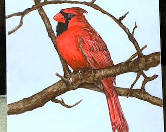 Cardinal with light blue background painting 8x8 cradled wood canvas