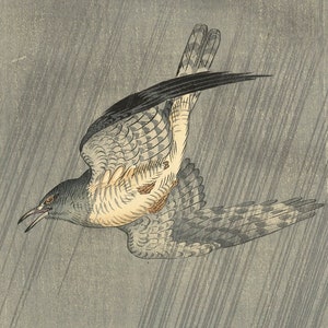 May include: A black and white woodblock print of a bird flying in the rain. The bird is a cuckoo, and the print is signed in Japanese characters.