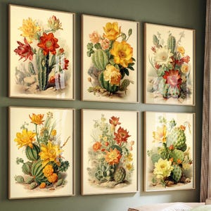 Set of Six Vintage Cactus Collection Posters - 6 Botanical Succulent Art Prints - Photo Painting Wall Gift Desert Plants Beige Yellow Red