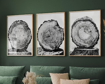 Set of Three Tree Rings Balancing on Stumps Triptych - 3 Natural Pattern Art Prints - Photo Poster Wall Gift, Wood Wooden Painting