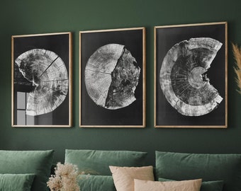 Set of Three Tree Rings Missing Pieces Invert b&w Triptych #V1- 3 Natural Pattern Art Prints - Photo Poster Wall Gift, Wood Wooden Painting