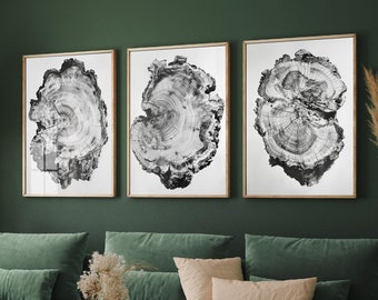 Set of Three Tree Ring Stump Warped and Mangled Triptych - 3 Natural Pattern Art Prints - Photo Poster Wall Gift, Wood Wooden Painting