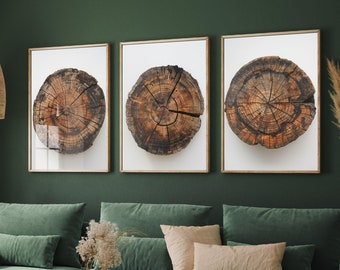 Set of Three Tree Ring Stump Autumn Colours Triptych - 3 Natural Pattern Art Prints - Photo Poster Wall Gift, Wood Wooden Painting