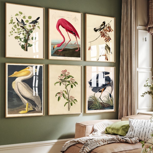 Set of Six John James Audubon Prints - 6 Classic Paintings - Poster Wall Art Giclée - Flamingo, American White Pelican, Great Blue Heron