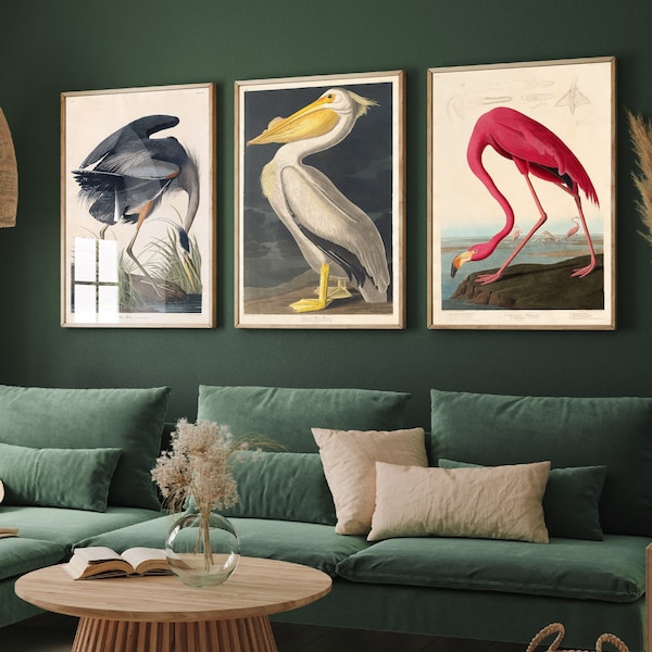 Set of Three Pink Flamingo Prints - 3 Bird Paintings - Poster Wall Art Giclée - John James Audubon, American White Pelican, Great Blue Heron
