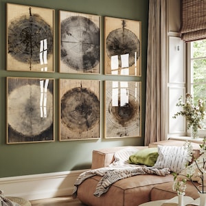 May include: Six framed wood slice prints in a living room setting. The prints are arranged in a grid pattern on a green wall. The prints feature a close-up of the rings of a tree trunk.
